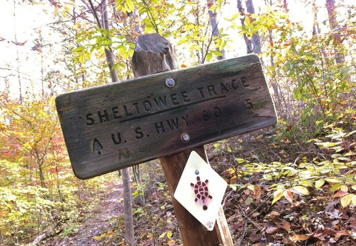 Sheltowee Trace &amp; Lakeview - 13